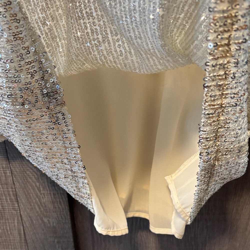 Lucy Paris Shimmering Silver Sequin Crop Top - Picture 4 of 8